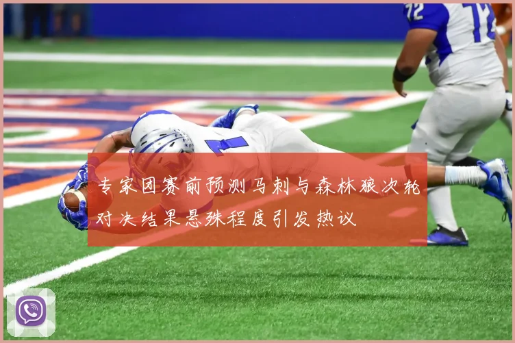 专家团赛前预测马刺与森林狼次轮对决结果悬殊程度引发热议
