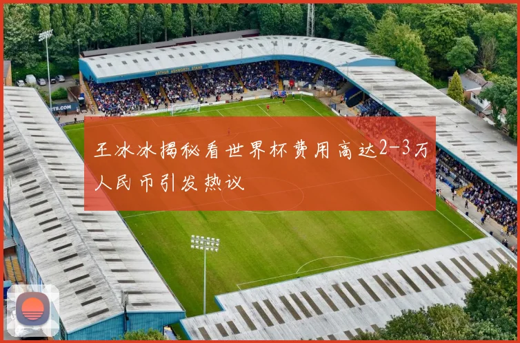 王冰冰揭秘看世界杯费用高达2-3万人民币引发热议