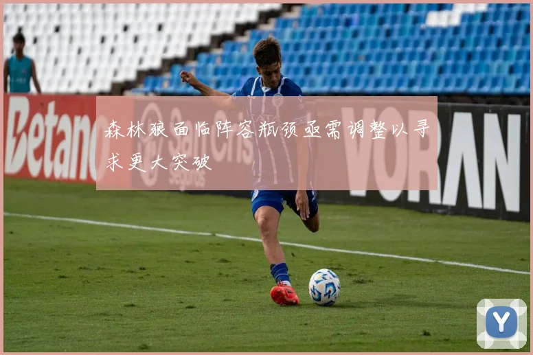 森林狼面临阵容瓶颈亟需调整以寻求更大突破